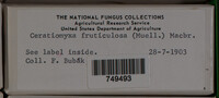 Image Associated With the Occurence